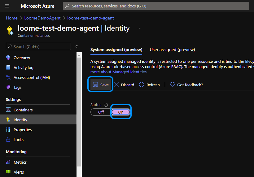 Azure Portal Agent Identity