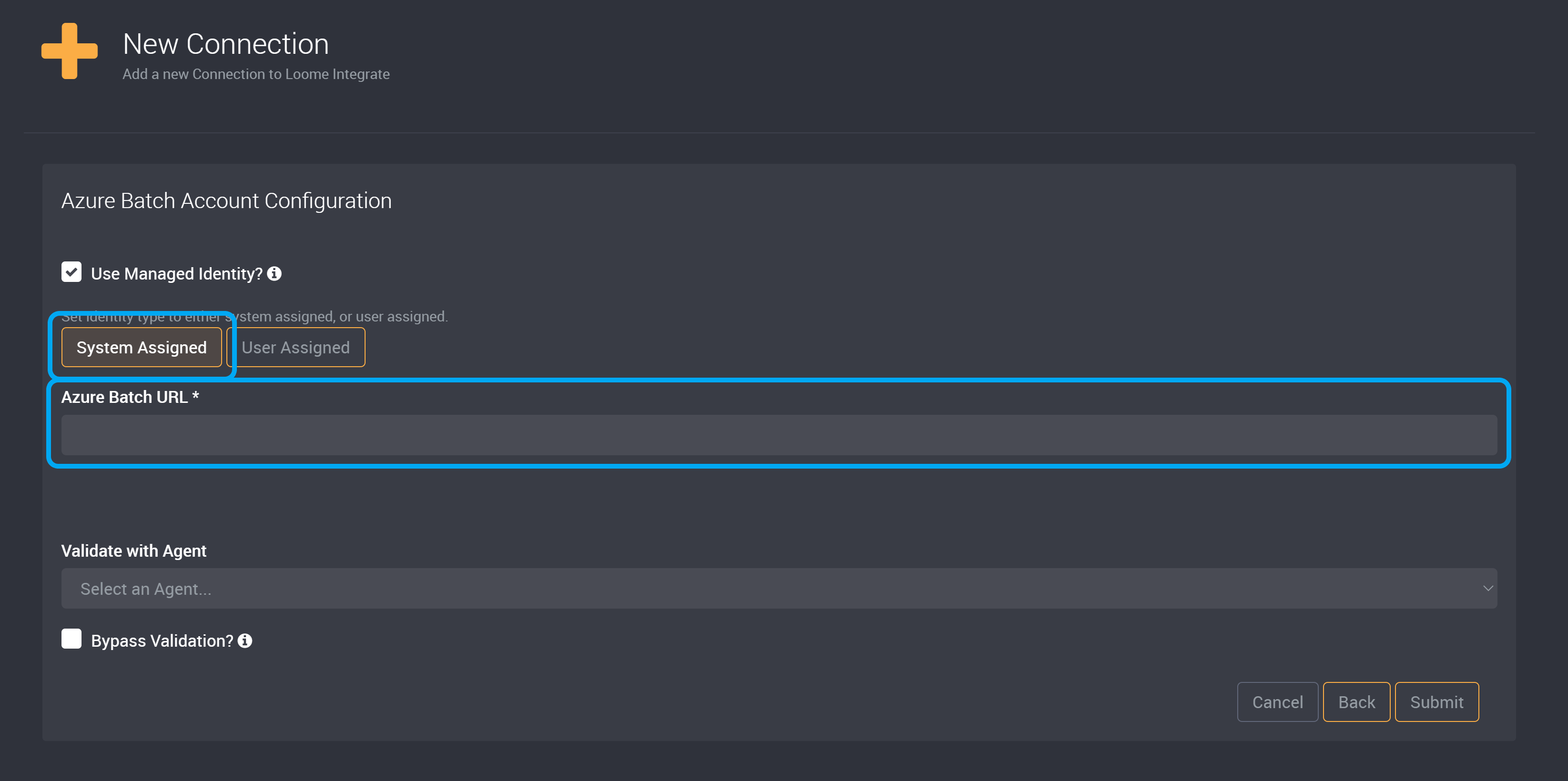 System assigned fields