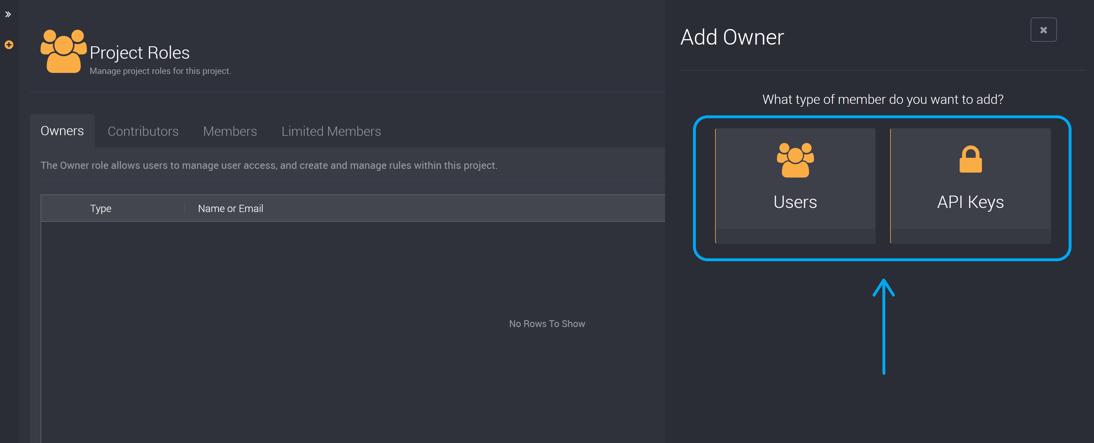 Choose a user or API Key