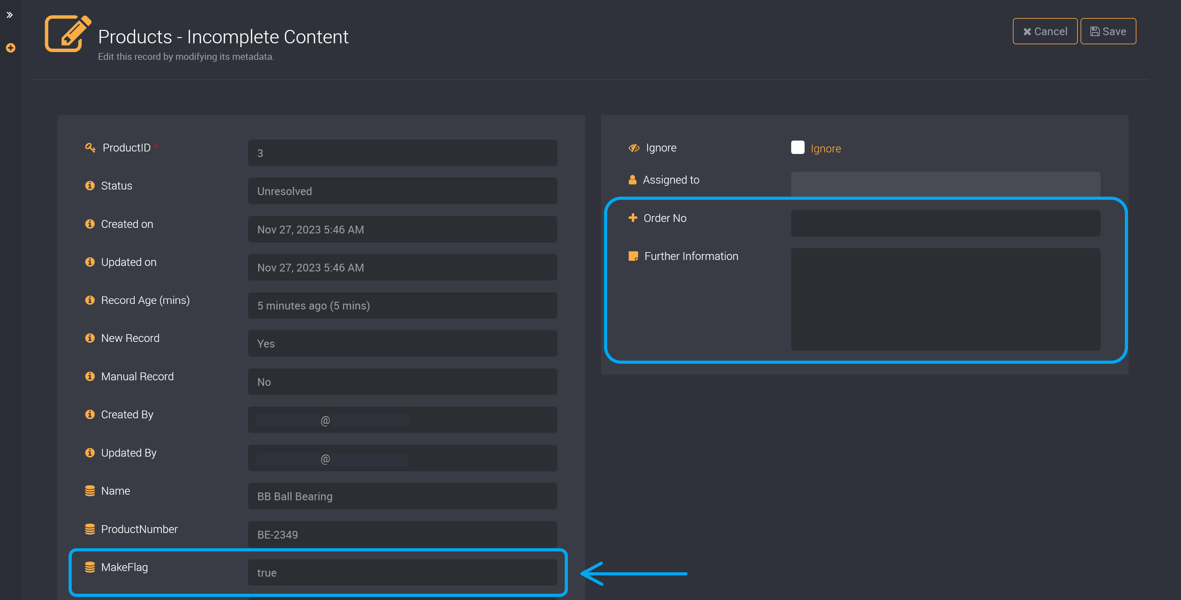 Cannot edit custom fields